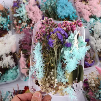 Gerçek Kurutulmuş Çiçek 17x13 cm / kutu Kuru Bitkiler Yapmak İçin Aromaterapi Mumlar Epoksi Reçine Kolye Kolye Takı DIY Zanaat