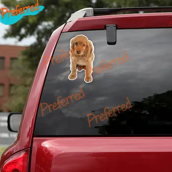 Yaratıcı Çıkartması Altın Cocker Spaniel Köpek Araba Sticker Araba Styling Dekorasyon Ayrılabilir Motosiklet Dizüstü Kamyon Vinil Çıkartması