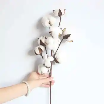 10 Kafaları Gossypium Yapay Doğal Yaprakları Kurutulmuş Çiçek Pamuk Şube Kök noel hediyesi Sahte Çiçek Yeni
