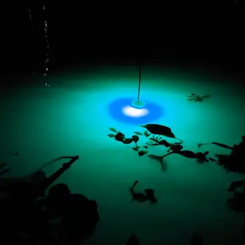 Sualtı Mini elektronik balıkçı ışığı Balık Cazibe Lamba Cazibesi LED Yanıp Sönen balıkçı ışığı Kalamar Yem Lures