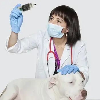 Pro Kulak Tozu Ağrısız Kaldırma Kulak Saç Sıvı Evcil Hayvanlar İçin Kulak Bakım Çözümü Pet Kulak Sağlık Temizlik Malzemeleri Kediler Köpekler İçin 5
