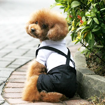 Pet Köpek Kedi Giysileri Prens Smokin papyon Takım Elbise Chihuahua Ceket Yakışıklı Evcil Köpek Takım Elbise düğün elbisesi Tulum Ceket S-XXL 2
