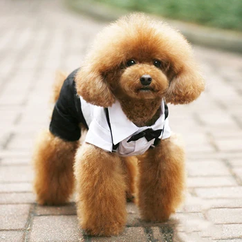 Pet Köpek Kedi Giysileri Prens Smokin papyon Takım Elbise Chihuahua Ceket Yakışıklı Evcil Köpek Takım Elbise düğün elbisesi Tulum Ceket S-XXL 5