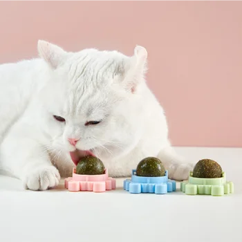 Pet Catnip Oyuncaklar Yenilebilir Doğa Nane Topu Güvenlik Sağlıklı Dönebilen Kedi Kovalayan Oyun Oyuncak Temiz Diş Ürün Kutusu ile Moistureproof
