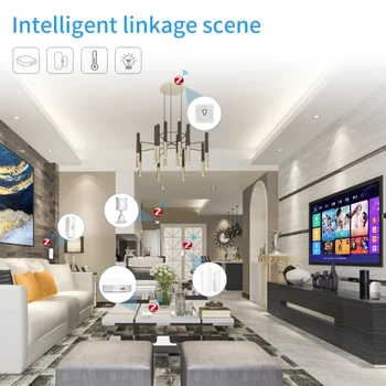 CORUI Zigbee Tuya Akıllı Kapı Ve Pencere Sensörü Kablosuz Uzaktan İzleme Akıllı Ev Alexa Google İle Uyumlu