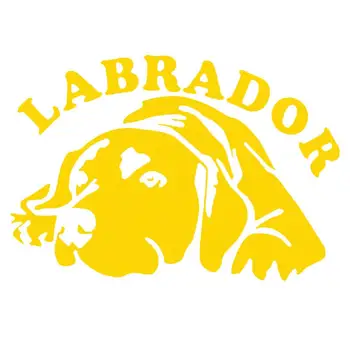 Sevimli Labrador Köpek otomobil araç Vücut Pencere Yansıtıcı Çıkartmaları Sticker Dekorasyon 0