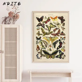 Kelebek Böcek Vintage Poster Papillons Baskı tuval Boyama Biyoloji Eğitim duvar sanat resmi Modern Çalışma Odası Dekorasyon