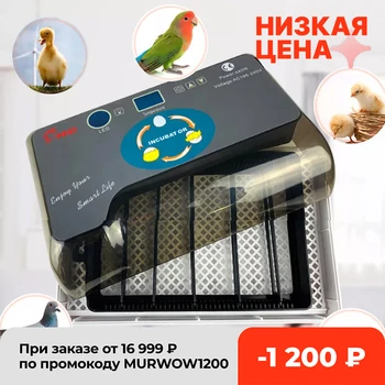 En iyi Çiftlik Sıcaklık Nem ControlEgg Kuluçka Otomatik 4-35 yumurta Kuluçka Makinesi Yeni Tavuk Ördek Bıldırcın Kuş Brooder