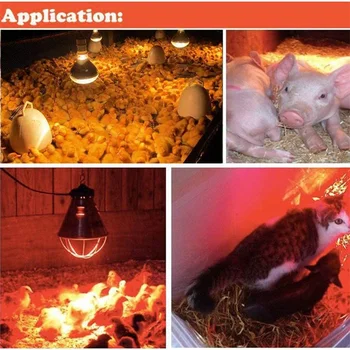 1 Adet Çiftlik termal ışık koruma sürüngen Habitat kızılötesi ısı tavuk ışını domuz köpek Led malzemeleri aydınlatma lambası