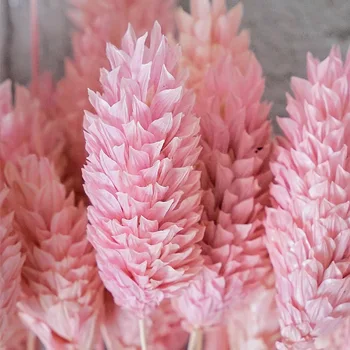 Doğal Kurutulmuş Taş Çim Buket Gerçek Çiçekler DIY Düzenleme Çekim Sahne Ev Dekor Düğün Dekorasyon Sevgililer Pampas 3