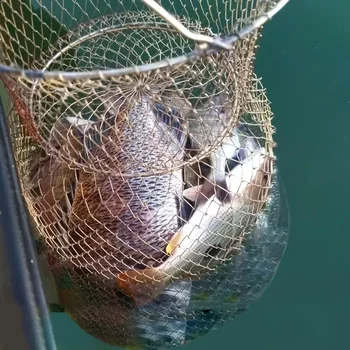 Goture Taşınabilir Metal Tel Balık Ağı Balık Yengeç Kalamar Karides Örgü Kafes Cast Net Balıkçılık Tuzak Ağ Katlanabilir Balıkçılık Net