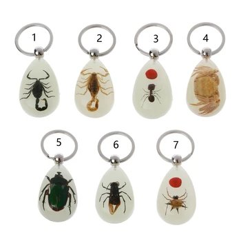 Reçine Böcek Anahtarlık Aydınlık Akrep Böcek Numune Kolye Doğal turistik hediyelik Amber Anahtarlık moda takı