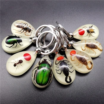 Reçine Böcek Anahtarlık Aydınlık Akrep Böcek Numune Kolye Doğal turistik hediyelik Amber Anahtarlık moda takı 1
