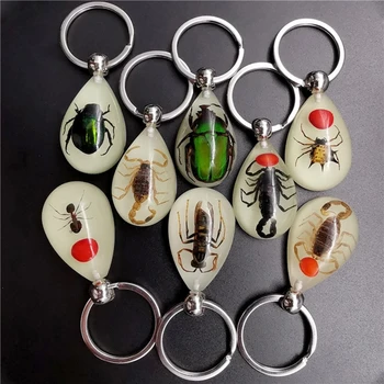Reçine Böcek Anahtarlık Aydınlık Akrep Böcek Numune Kolye Doğal turistik hediyelik Amber Anahtarlık moda takı 2