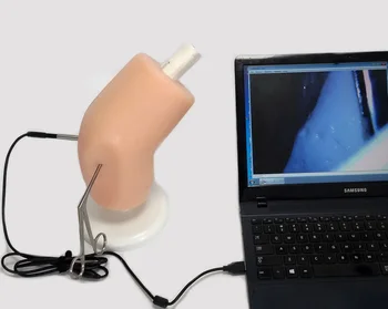 Artroskopi Simülatörü Eğitmen Ortopedik Diz Artroskop Öğretim Aparatı