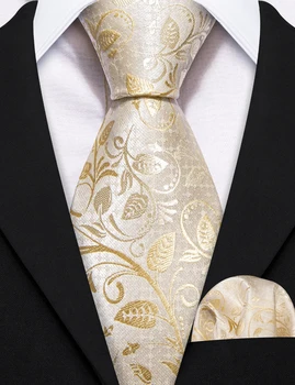 Barry.Wang Yeni Çocuk Kravat Bej Paisley ipek kravatlar Mendil Kol Düğmeleri Seti 120 cm Kravatlar Erkek D-1167C