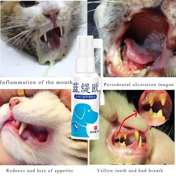 Köpek ve kedi stomatit sprey kedi drooling stomatit ağız kokusu sakız periodontitis kedi ve köpek evrensel stomatit sprey