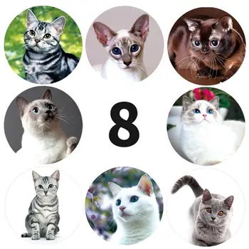 Kırtasiye Çıkartmalar Sevimli Kedi Yapışkan Kağıt hayvan Günlüğü sticker Dekorasyon Scrapbooking İçin ödül çocuklar sticker