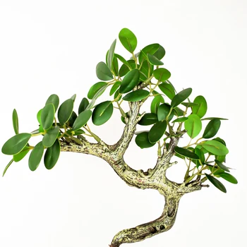 25cm Küçük Yapay Bitkiler Şube Sahte Ficus Ağacı Yaprak Tropikal Plastik Banyan Saksı Mini Masaüstü Zanaat Ev Ofis Dekor İçin 3
