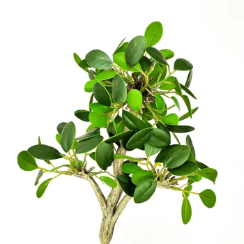 25cm Küçük Yapay Bitkiler Şube Sahte Ficus Ağacı Yaprak Tropikal Plastik Banyan Saksı Mini Masaüstü Zanaat Ev Ofis Dekor İçin 5