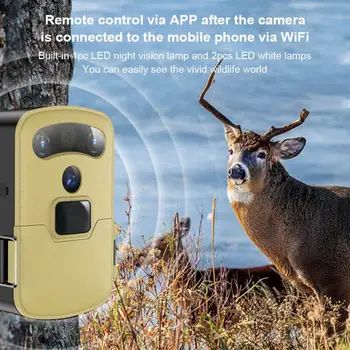 HC901 WiFi Açık Avcılık Kamera GÜNEŞ PANELI Enerjili Trail Tuzak Kamera Gece Görüş Su Geçirmez Oyun Yaban Hayatı Kameralar Monitör