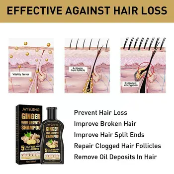 Zencefil Şampuanı Anti Beyaz şampuan Siyah Saç Bakımı 100ml Şampuan Şampuan Onarım Saç Dökülmesi Doğal Özü Tedavisi Saç N6g0 5