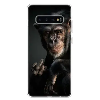 Komik Düşünme Maymun Kulaklık İle Sanat Yumuşak Yumuşak Telefon Kılıfı için Samsung Galaxy A51 A71 A41 A31 A21S A11 A10 A20E A30 A40 A50 5