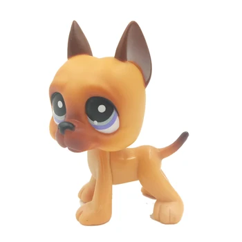 LPS KEDİ Littlest pet shop bobble kafa oyuncaklar nadir şekil kahverengi köpek Büyük Dane mor gözler çocuk tatil hediye koleksiyonu orijinal