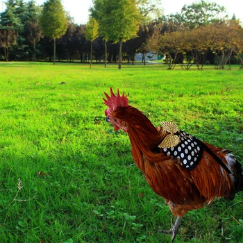 Moda Ayarlanabilir Tavuk Koşum Tasma Rahat Nefes Küçük Boy Tavuk evcil hayvan yeleği Tavuk Ördek Kaz Eğitim Yürüyüş