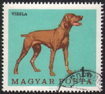 1 Adet / takım Macaristan Posta Pulları 1967 Dünyaca Ünlü Köpekler Visra Köpek Kullanılan Posta İşaretli Posta Pulları Toplamak için