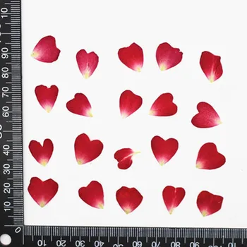 Kalp Şekli gül yaprağı Kurutulmuş Preslenmiş Çiçek Madalyon evlilik davetiyesi Dekorasyon 200 adet