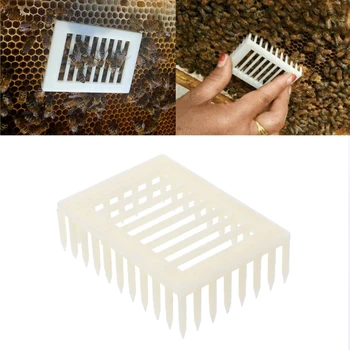Plastik Kraliçe Arı Kafesleri Izolasyonu Kraliçe Arı Arıcılık Ekipmanları Aracı