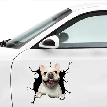 Köpek Çatlak Araba Sticker Yaratıcı Ev Araba Duvar Pencere dekorasyon çıkartması Pitbull Dachshund Husky Çatlak Tuvalet Buzdolabı Çıkartmalar 5