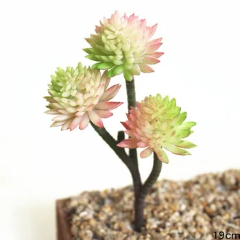 Mini Yapay Şişmanlık Kaktüs Bitki Sahte Etli Gerçek Dokunmatik Palmiye Bonsai Peyzaj Dekoratif Çiçek Ev masa süsü