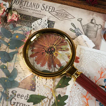 8 adet Kawaii Kırtasiye Çıkartmalar Efsanesi Çiçek Günlüğü Planlayıcısı Dekoratif Cep Çıkartmalar Scrapbooking Craft Etiketler