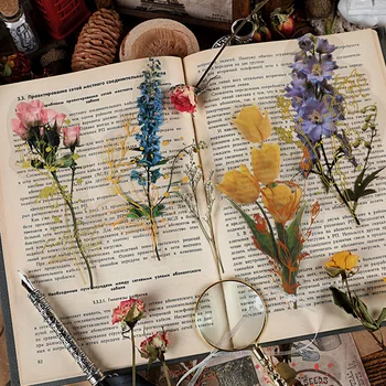 8 adet Kawaii Kırtasiye Çıkartmalar Efsanesi Çiçek Günlüğü Planlayıcısı Dekoratif Cep Çıkartmalar Scrapbooking Craft Etiketler 4