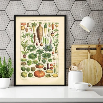 Fransız Dili Baskılar Litografi Kitap Plaka Sebze Vintage Poster Rustik Mutfak duvar sanatı tuval yağlıboya Dekor
