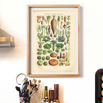 Fransız Dili Baskılar Litografi Kitap Plaka Sebze Vintage Poster Rustik Mutfak duvar sanatı tuval yağlıboya Dekor 4